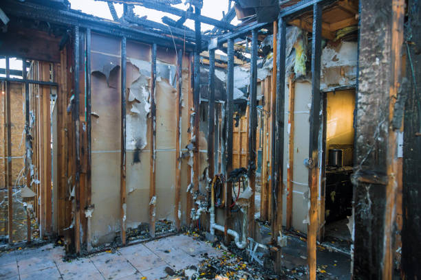 Professional Odor Removal technician working in Brunswick, OH