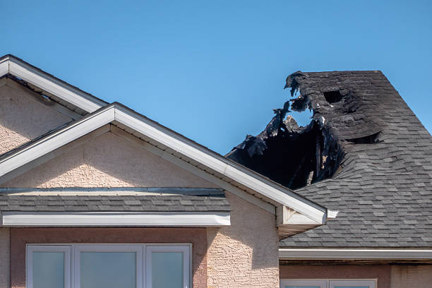 Top rated local Odor Removal specialists in Brunswick, OH